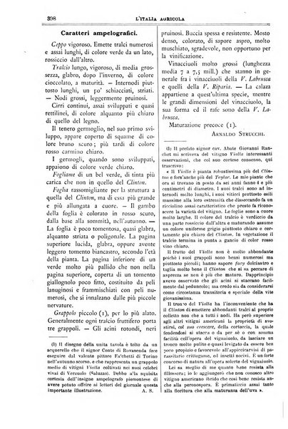 L' Italia agricola giornale di agricoltura