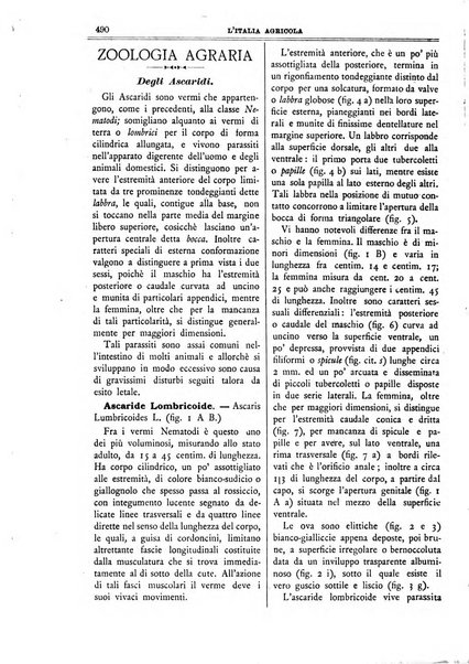 L' Italia agricola giornale di agricoltura