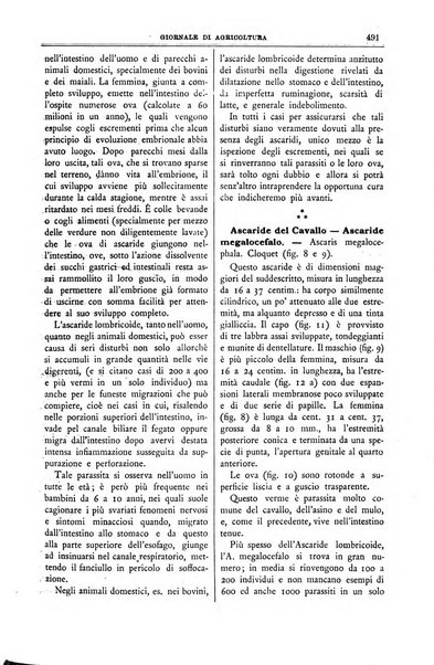 L' Italia agricola giornale di agricoltura