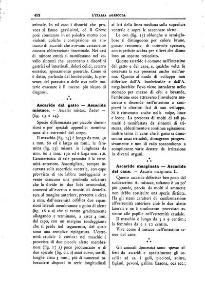 L' Italia agricola giornale di agricoltura