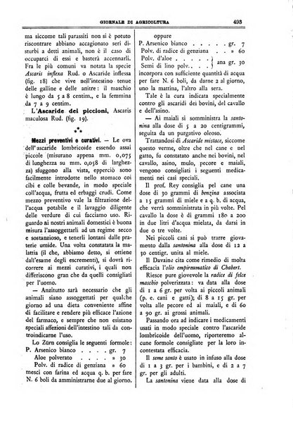 L' Italia agricola giornale di agricoltura