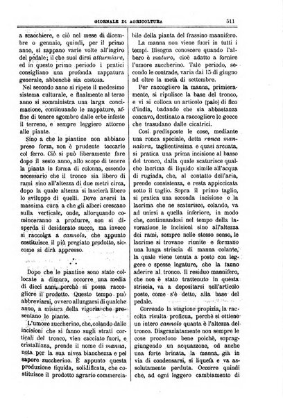 L' Italia agricola giornale di agricoltura