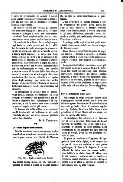 L' Italia agricola giornale di agricoltura