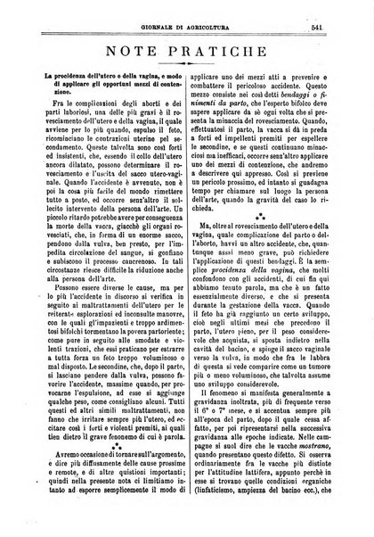 L' Italia agricola giornale di agricoltura