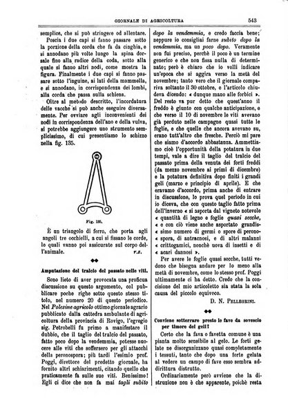 L' Italia agricola giornale di agricoltura