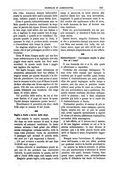 L' Italia agricola giornale di agricoltura