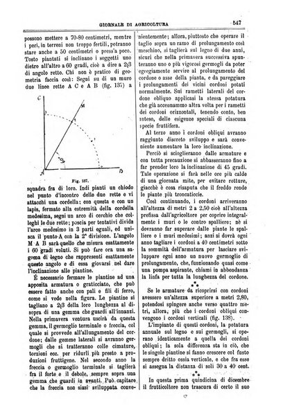 L' Italia agricola giornale di agricoltura