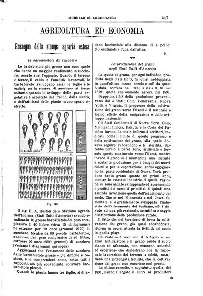 L' Italia agricola giornale di agricoltura