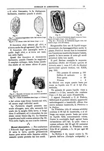 L' Italia agricola giornale di agricoltura