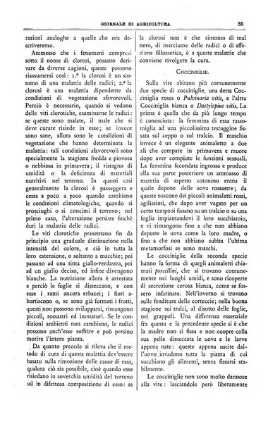 L' Italia agricola giornale di agricoltura