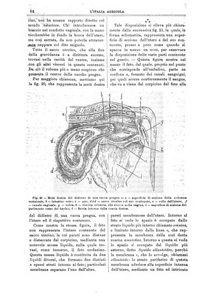 L' Italia agricola giornale di agricoltura