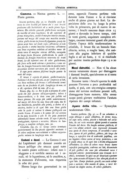 L' Italia agricola giornale di agricoltura