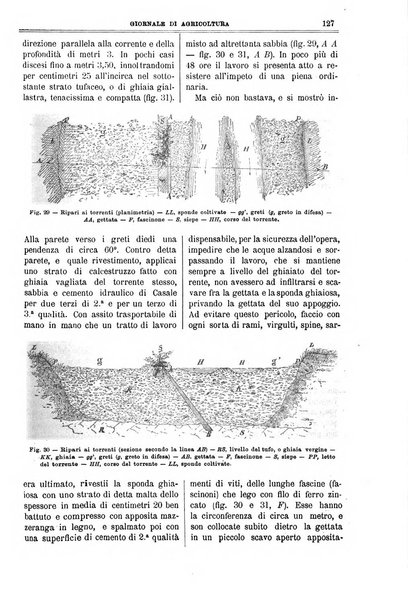 L' Italia agricola giornale di agricoltura