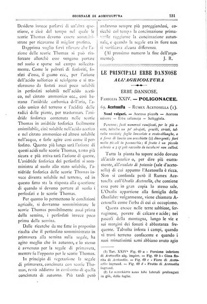 L' Italia agricola giornale di agricoltura