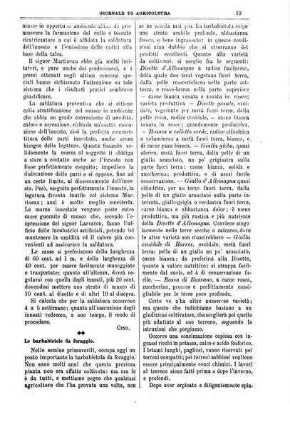 L' Italia agricola giornale di agricoltura