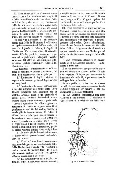 L' Italia agricola giornale di agricoltura