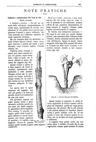 L' Italia agricola giornale di agricoltura