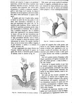 giornale/TO00210416/1893/unico/00000258