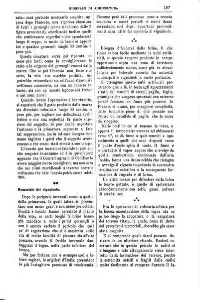 L' Italia agricola giornale di agricoltura