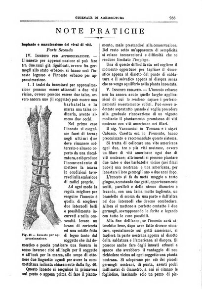 L' Italia agricola giornale di agricoltura