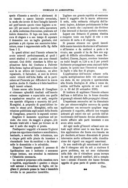 L' Italia agricola giornale di agricoltura