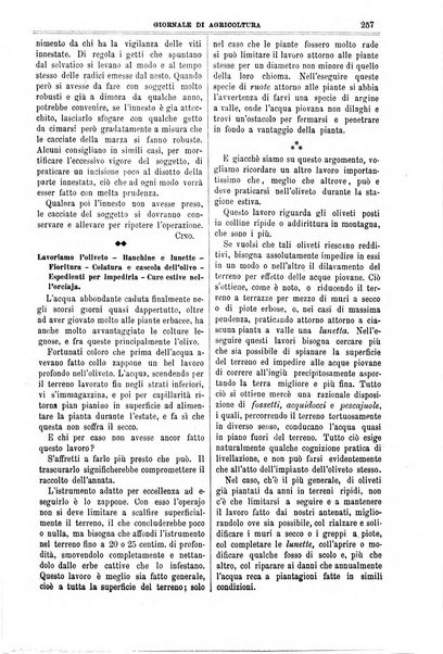 L' Italia agricola giornale di agricoltura