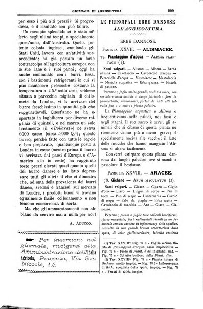 L' Italia agricola giornale di agricoltura