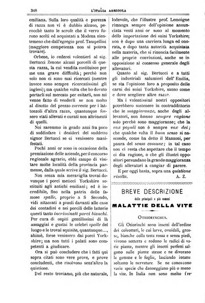 L' Italia agricola giornale di agricoltura