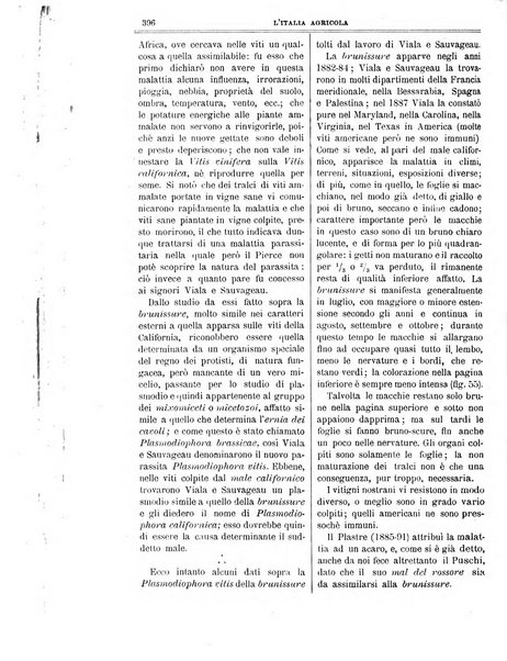 L' Italia agricola giornale di agricoltura