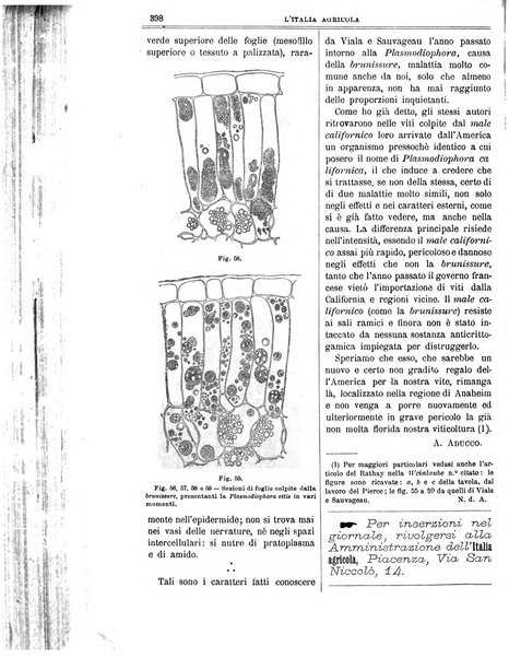 L' Italia agricola giornale di agricoltura