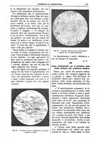 giornale/TO00210416/1893/unico/00000547