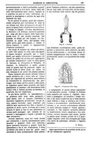 giornale/TO00210416/1894/unico/00000181