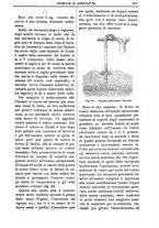 giornale/TO00210416/1894/unico/00000205