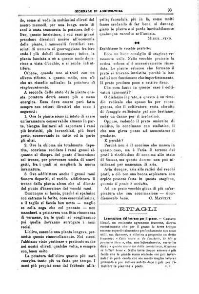 L' Italia agricola giornale di agricoltura