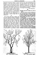 giornale/TO00210416/1895/unico/00000151