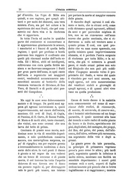 L' Italia agricola giornale di agricoltura