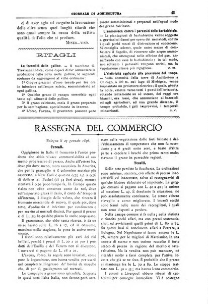 L' Italia agricola giornale di agricoltura