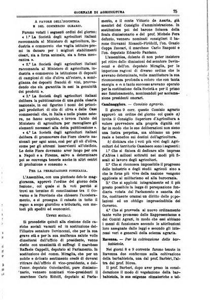 L' Italia agricola giornale di agricoltura