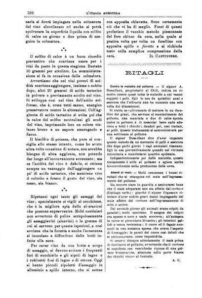 L' Italia agricola giornale di agricoltura