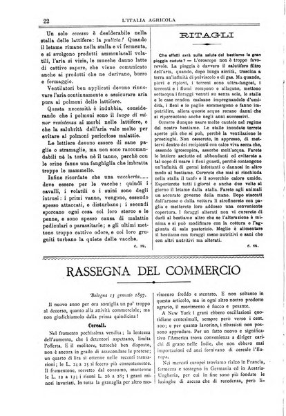 L' Italia agricola giornale di agricoltura