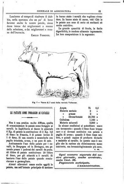 L' Italia agricola giornale di agricoltura