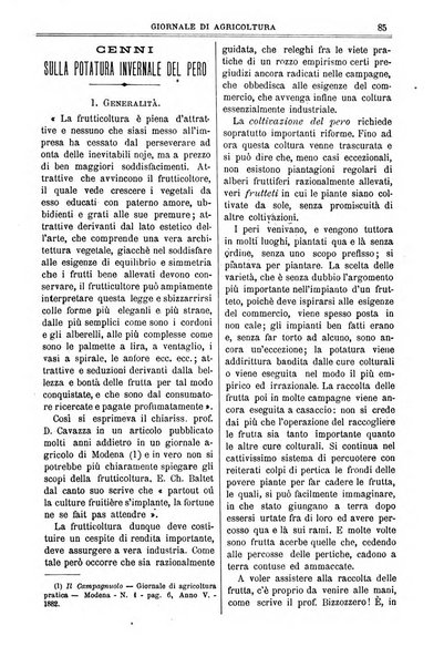 L' Italia agricola giornale di agricoltura