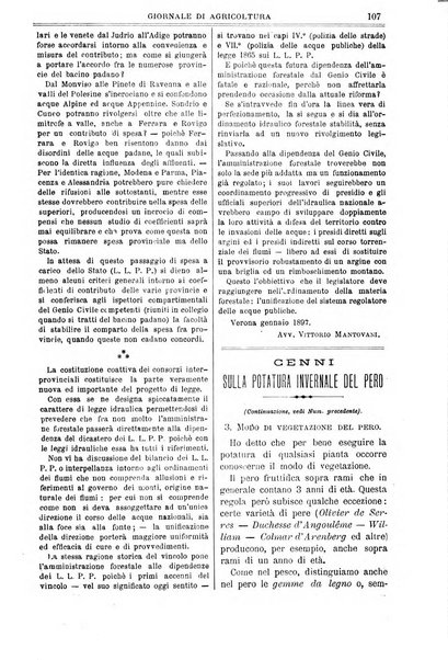 L' Italia agricola giornale di agricoltura