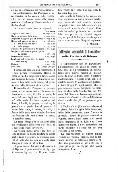 L' Italia agricola giornale di agricoltura