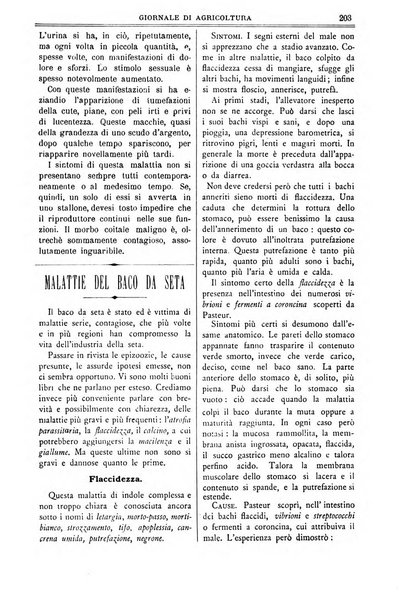 L' Italia agricola giornale di agricoltura