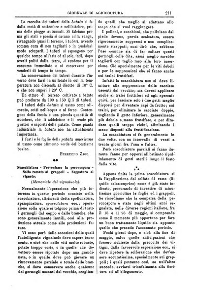 L' Italia agricola giornale di agricoltura