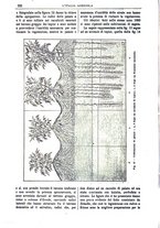 giornale/TO00210416/1897/unico/00000284