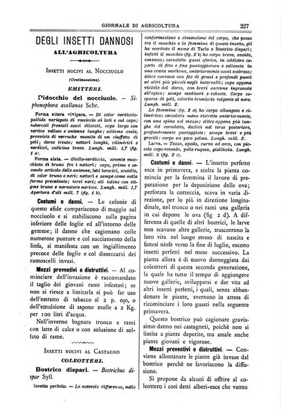 L' Italia agricola giornale di agricoltura