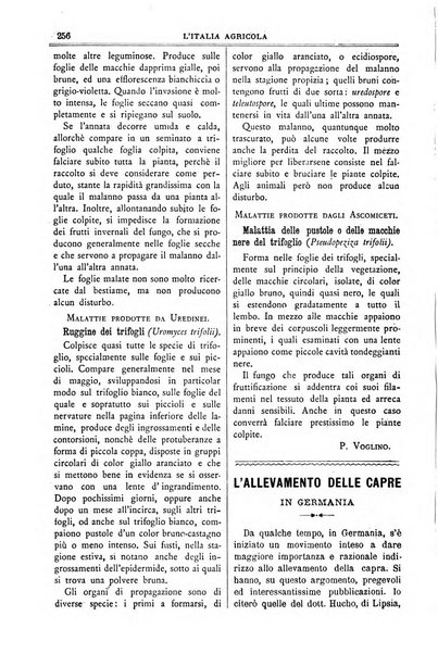 L' Italia agricola giornale di agricoltura