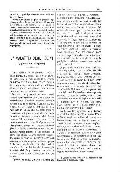 L' Italia agricola giornale di agricoltura